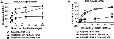 Role of Adiponectin Receptor 1 in Promoting Nitric Oxide-Mediated Flow-Induced Dilation in the Human Microvasculature